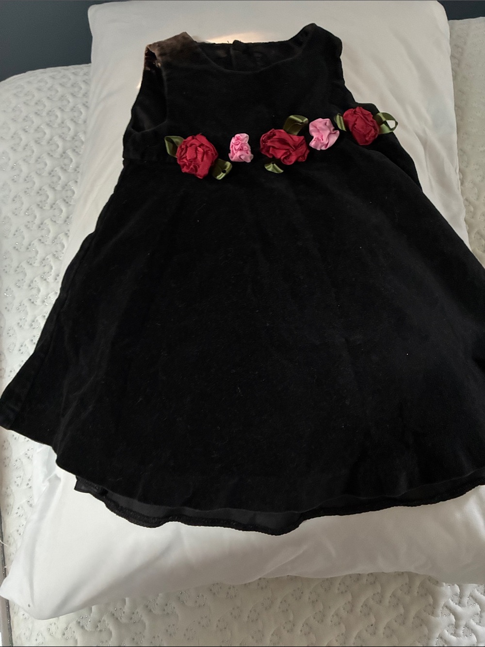 The Children's Place Black Velvet Dress with Pink & Red Rose Trim